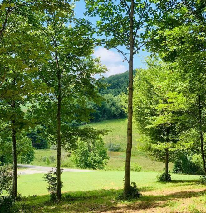 Foxtail Orchards - The Fox Den Villa Tazewell Exterior photo